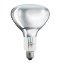 飛利浦 Philips 紅外線石英膽 250W（透明・E27・IR250CH B