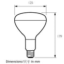 飛利浦 Philips 紅外線石英膽 250W（透明・E27・IR250CH B