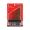 Beiter BT-HSS-X10B 英制六角柄套裝
